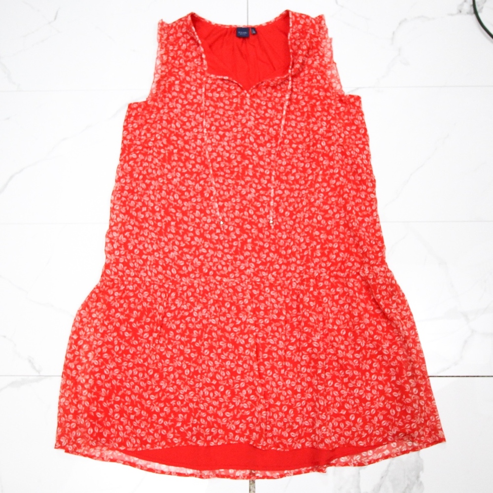 Kaari Blue Red and White Leaf Patterned Dress
